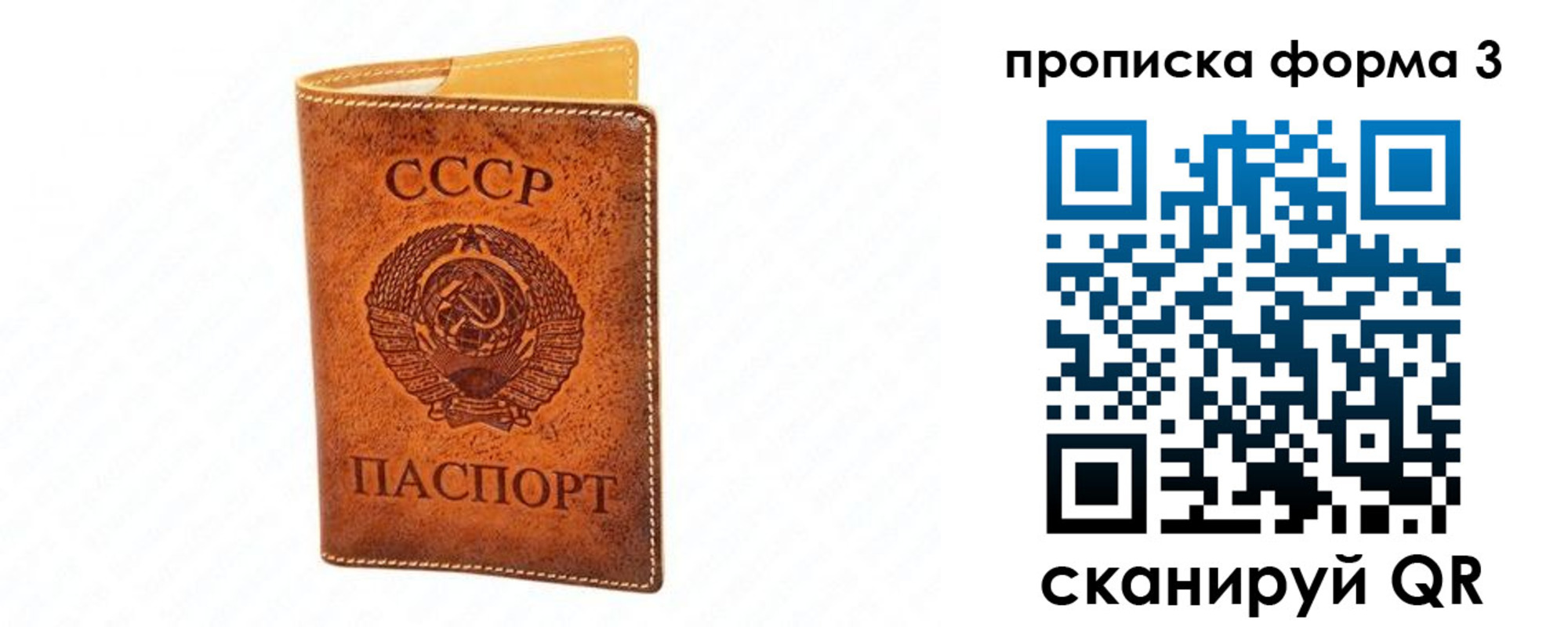 временная регистрация госуслуги в Дальнегорске